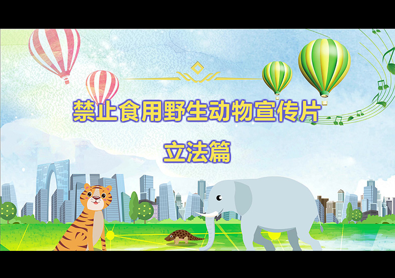 禁食野生動物，從我做起，從現(xiàn)在做起